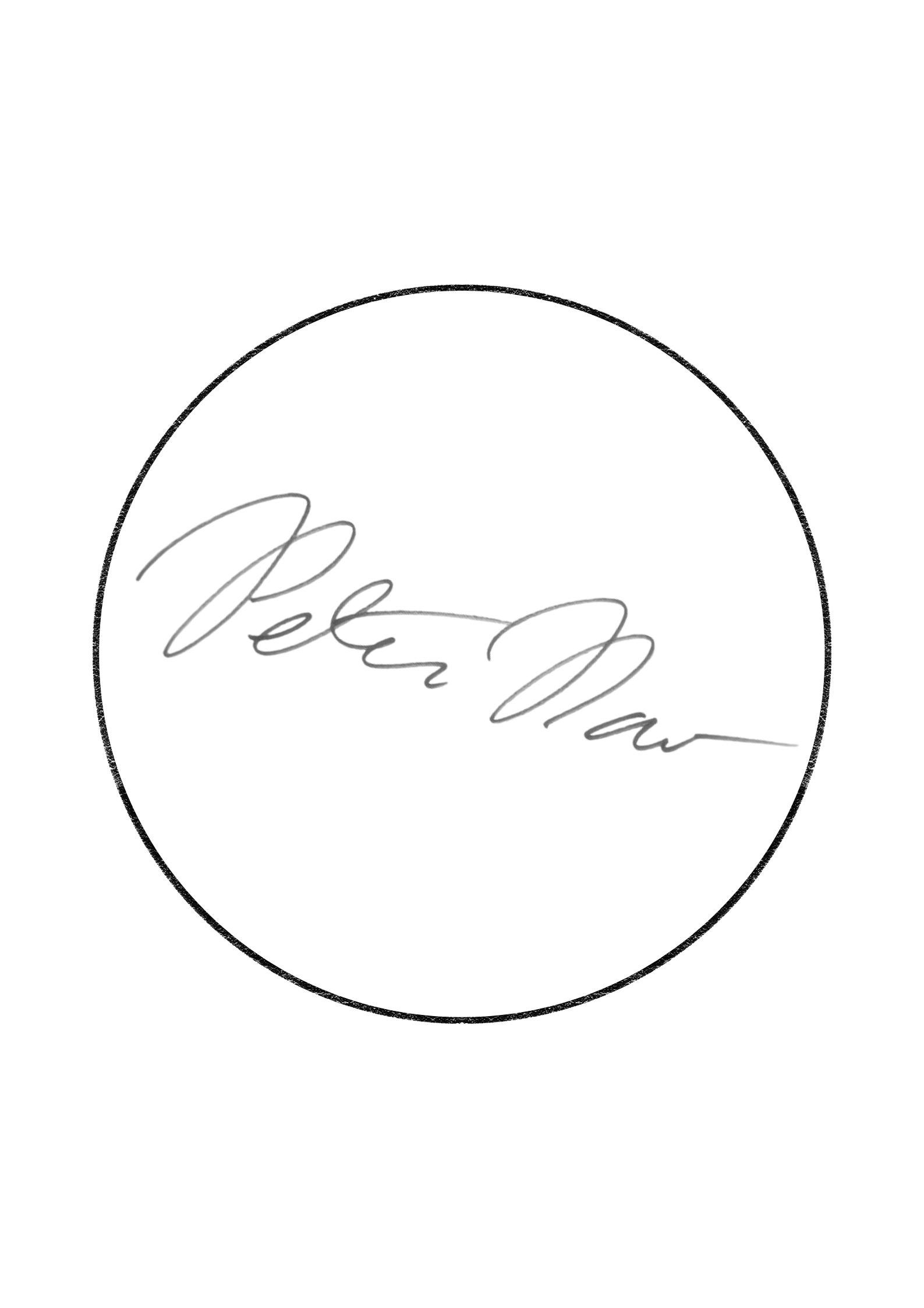 The New MAGA Deal - SIGNED
